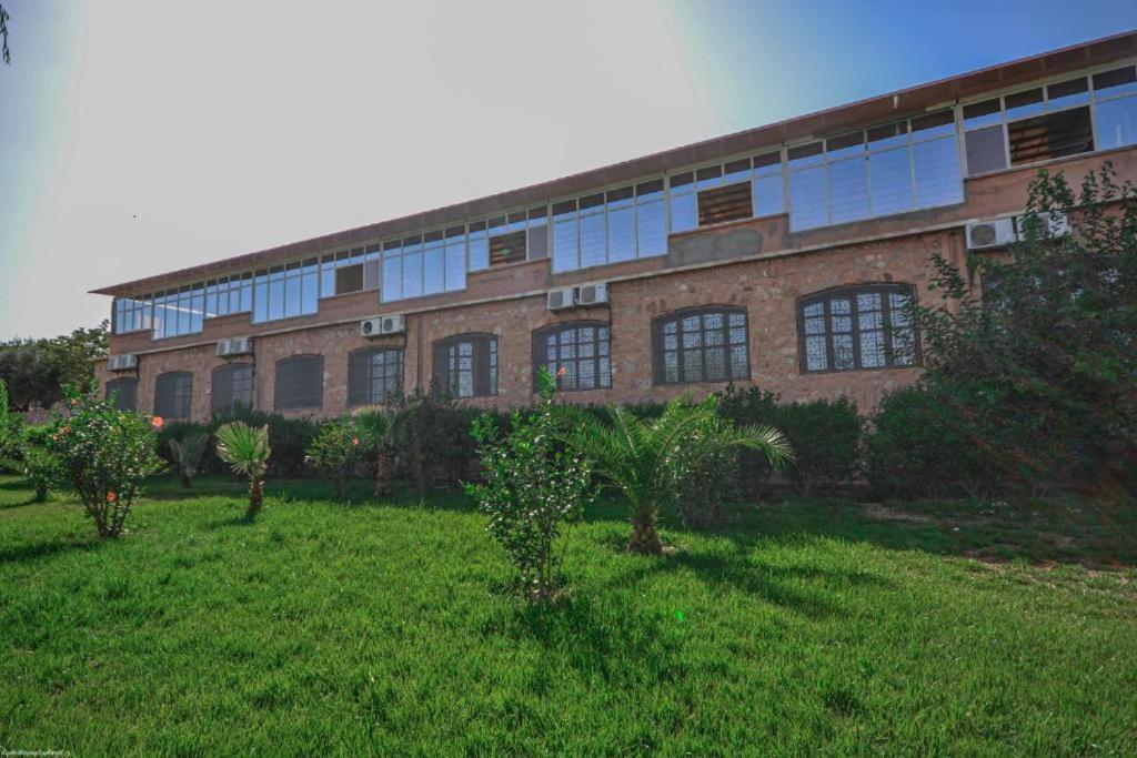L'Oliveraie D'Amizmiz Exterior foto